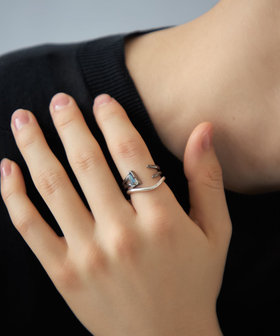 [スペシャル] フォークリング セット ラブラドーライト