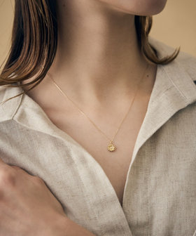 trim_fce_item67ec95fe3bc50.jpg