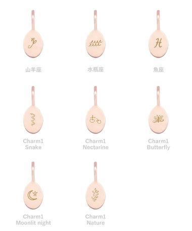 【受注生産】[シグネチャー] K18RBG シグネットチャーム/ Oval