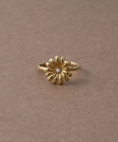 エテビジュー　グリムクォーツ　18kリング　サイズ13 ete bijoux（エテビジュー）の「○K18YG グリーム クォーツ